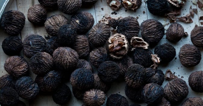 Black Walnut